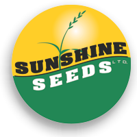 Sunshine Seeds